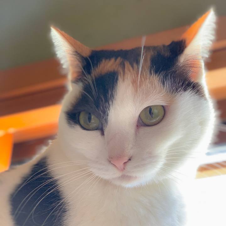 4ed17815 8513 4fe4 8f42 3d59d134161b 1558402840449