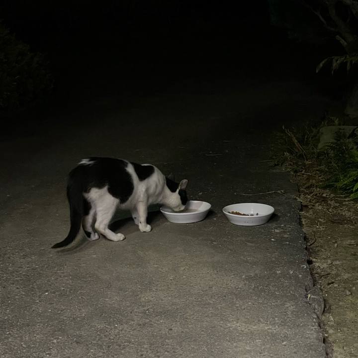 4ed1f655 0129 4877 8193 f006a22f21b4 1627919763524