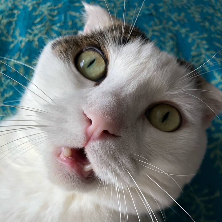 4ed2138b 6b48 42f1 881a 5895b98028e4 1536814402500