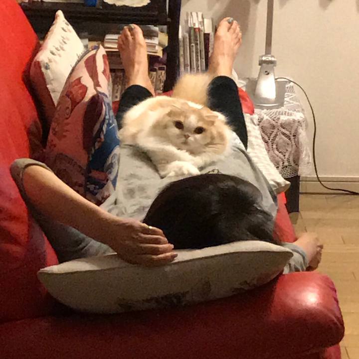 4ed22725 d2f9 4711 af89 cc747c8b3731 1530925651152