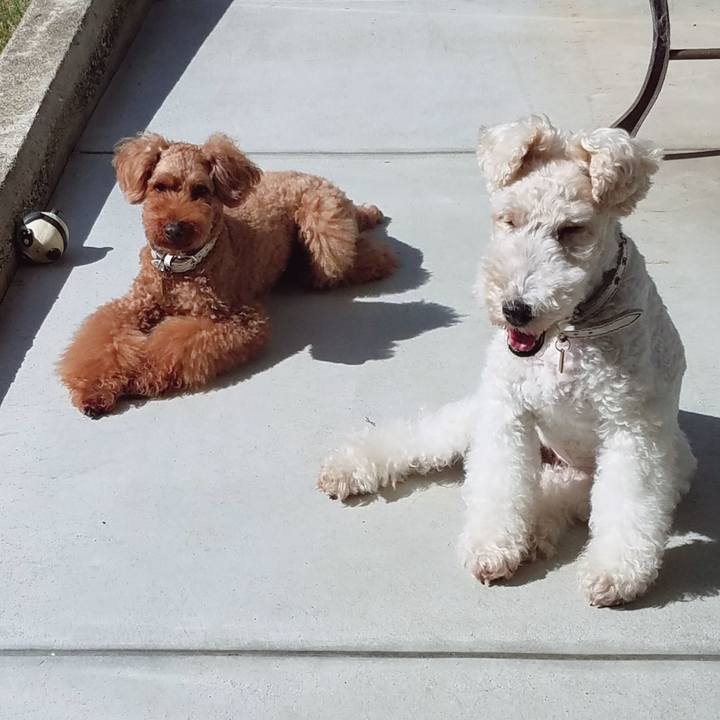 4ed22a15 880e 470e 92ed ed0fde191780 1565734892329