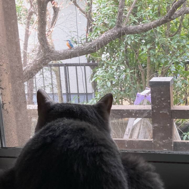 4ed23456 6319 4f56 b880 a996fc2d1f4f 1772201046131