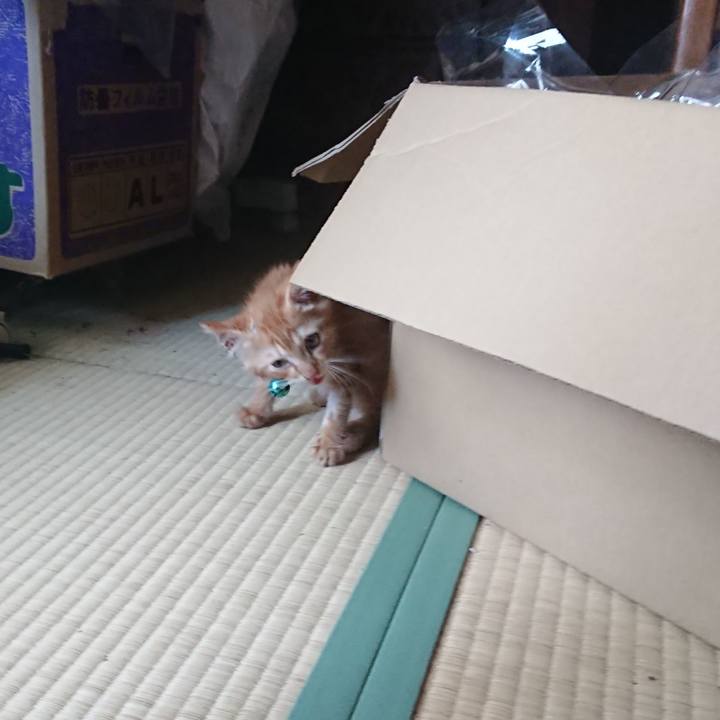 4ed2a739 19d1 46fa 90ab 9c44e7382c05 1627958869922