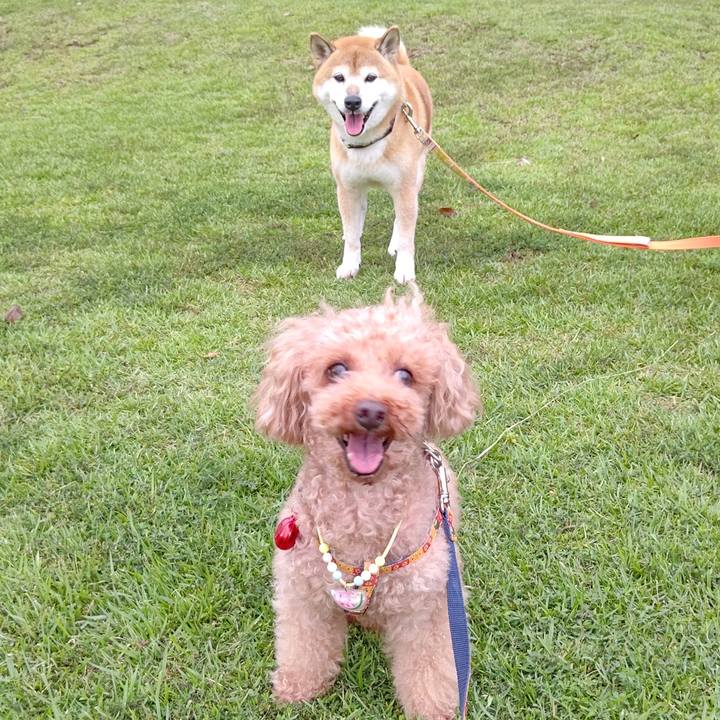 4ed2b62f 8582 448d b8ab cb77f547c79d 1600077337929