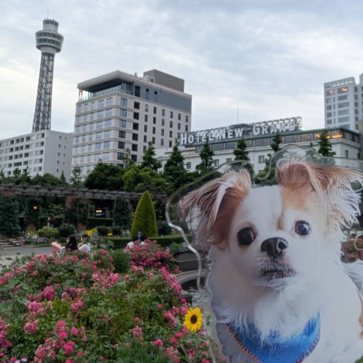 4ed2d31d 8c3d 4cc3 a185 5255e0847f0f 1749301636025