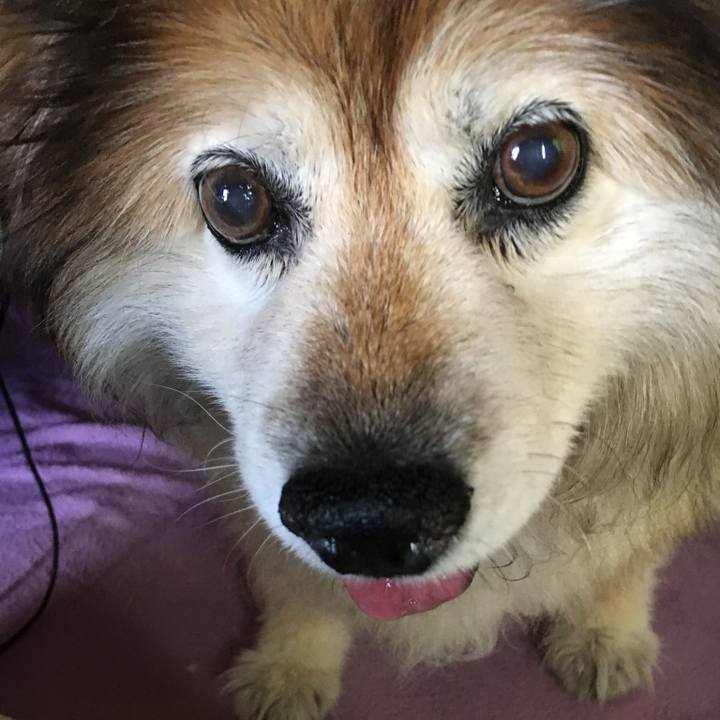 4ed30b38 1753 4037 a9d1 d5fd024031bf 1624368966055