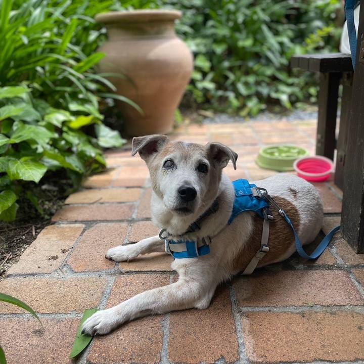 4ed35bd0 3763 44a2 b056 ac7d438c8f87 1685189833702