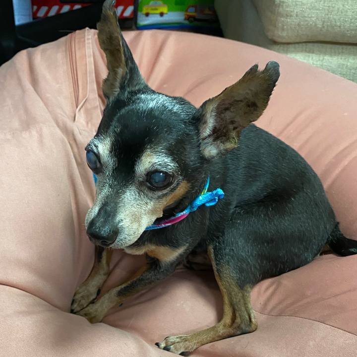 4ed37622 2ed2 4e0f 9675 281de66e240a 1596274594304