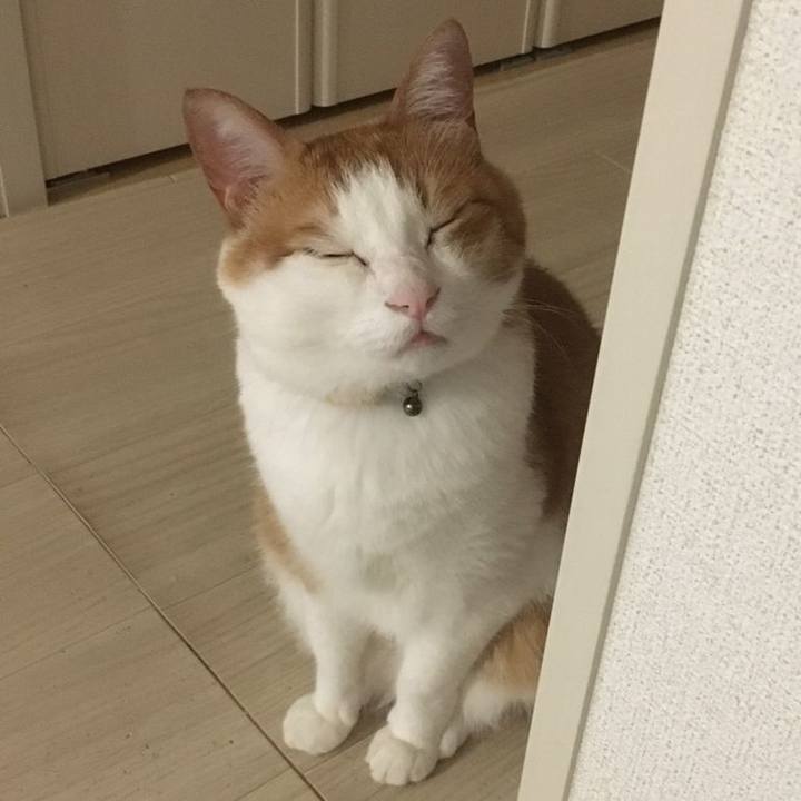 4ed3806b 068d 4b5e ba4e 8c5dbd22ec0e 1592195958883