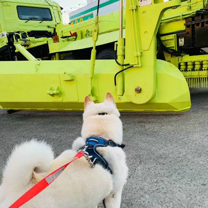 4ed3bfeb 41a6 46c4 a27c 07fec982129a 1632519083917