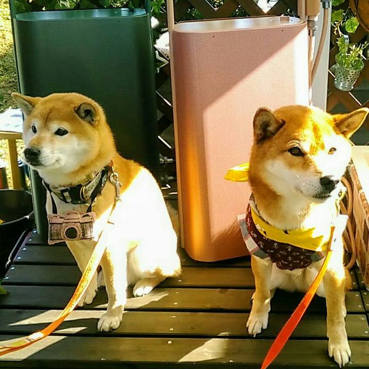 4ed3c6f1 fea1 4f56 a67a eb2ad03e8b3b 1579412150884