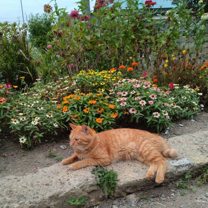 4ed3f43e bcfa 4473 a72a e601eb429bff 1693695127846