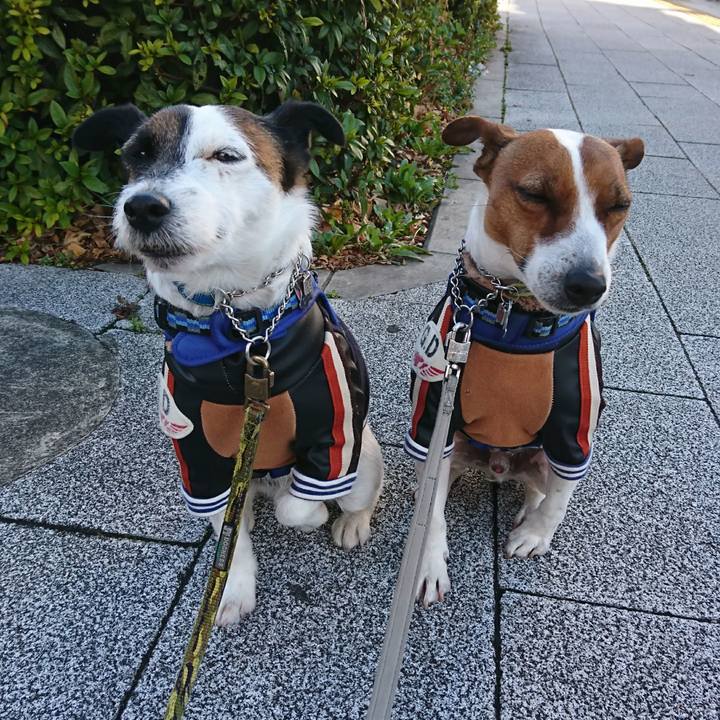 4ed400d3 02d5 4387 aabe f98452064778 1614724415537