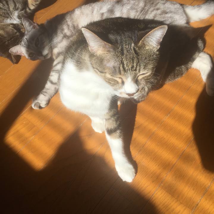 4ed40516 c26c 4a9b 8495 90989a353ce2 1571795131924