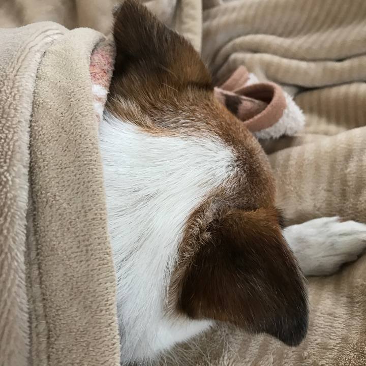 4ed40955 807b 48c1 a2cf 5a488ae48127 1610861756523