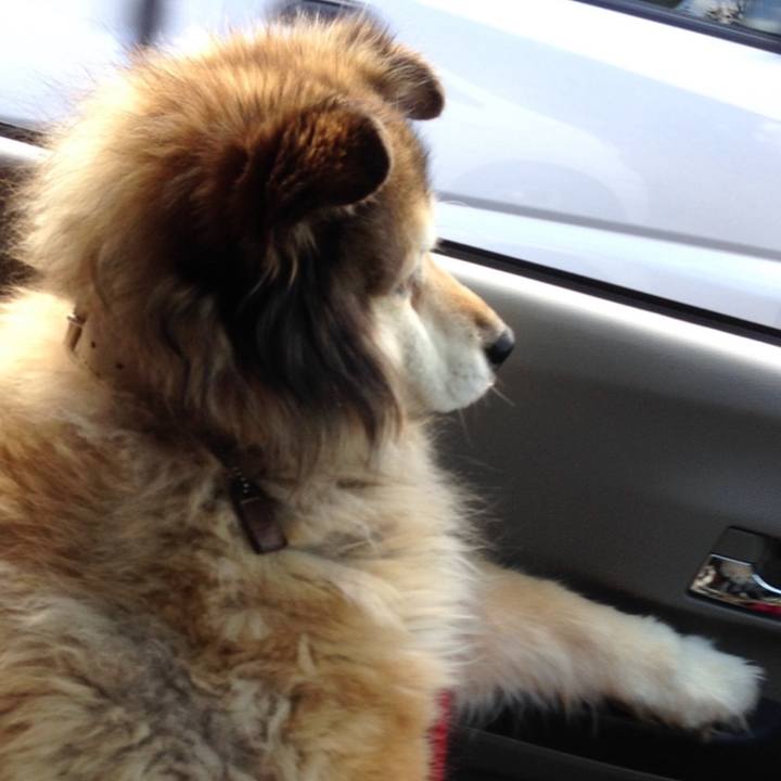 4ed41aaa c70b 4c3e 896d 8515aea453cd 1593608282777