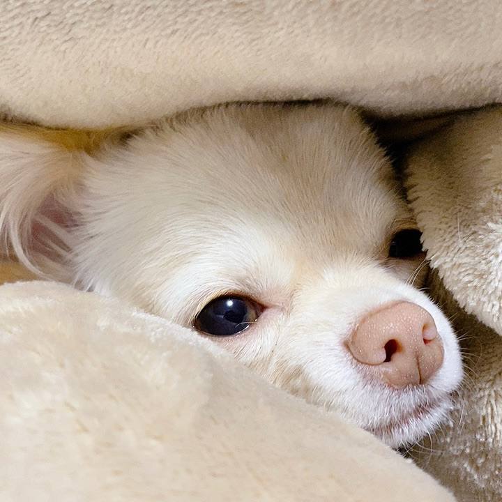 4ed43dc5 81f8 4fbe ad01 b68609290130 1608109687736