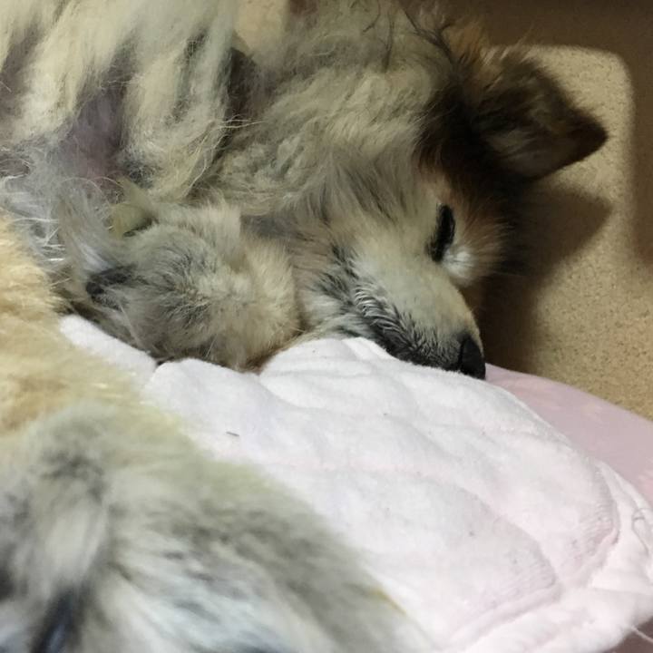 4ed44859 b4f0 44d8 933c 4d6d3b052018 1550756210170