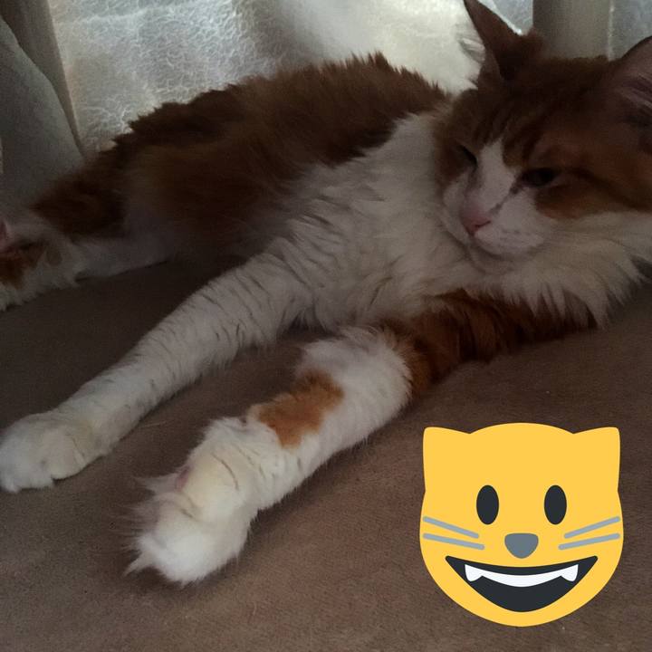 4ed44c3b 0161 4281 936e 681e666c3250 1579236973697