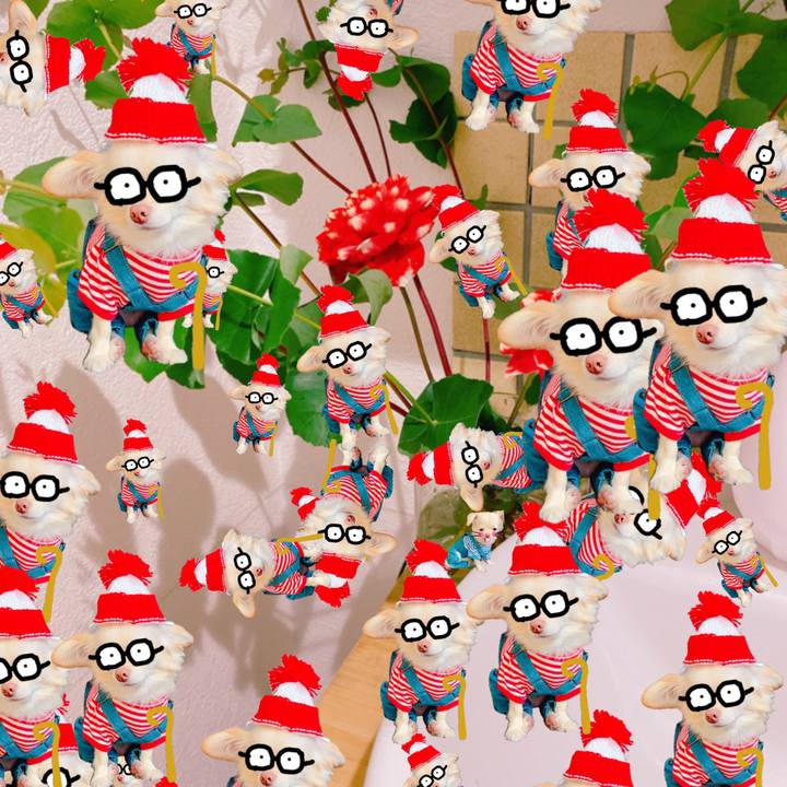 4ed48558 14df 435a 927c 0fc854e0ca60 1635834752757