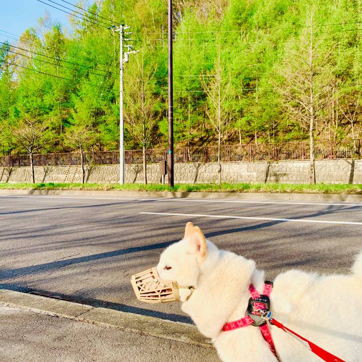 4ed49a16 b6c1 4d17 8c84 bfd05fc50d7b 1588977373181