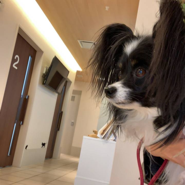 4ed49bcd 4d3b 4c57 8744 6c4c85697834 1550365976128