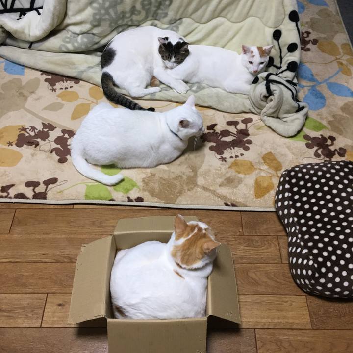 4ed4bed6 fc97 4660 85d4 5e0a8eea6522 1511695172518