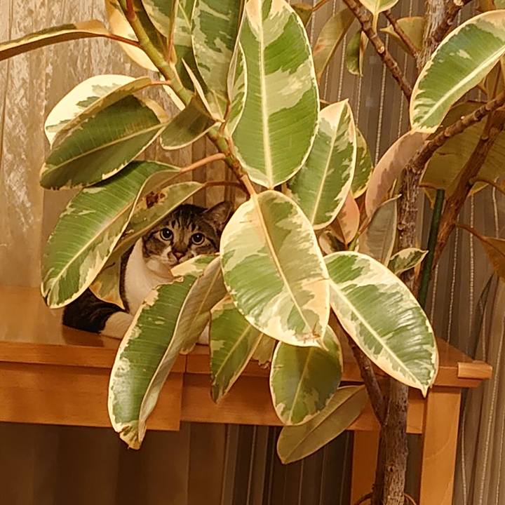 4ed4bf71 a5cd 4f89 83f5 302f3be0780d 1600772209786