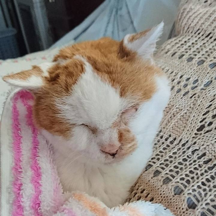 4ed4de0a 16aa 4c03 85b3 e156430a43a3 1663715888857