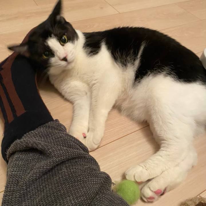 4ed4ea12 cc54 409b 8537 04fab0760308 1714986061608