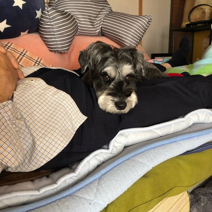 4ed4faa8 54ff 48be 87ee 1d0ebf8ba0f4 1667448302347