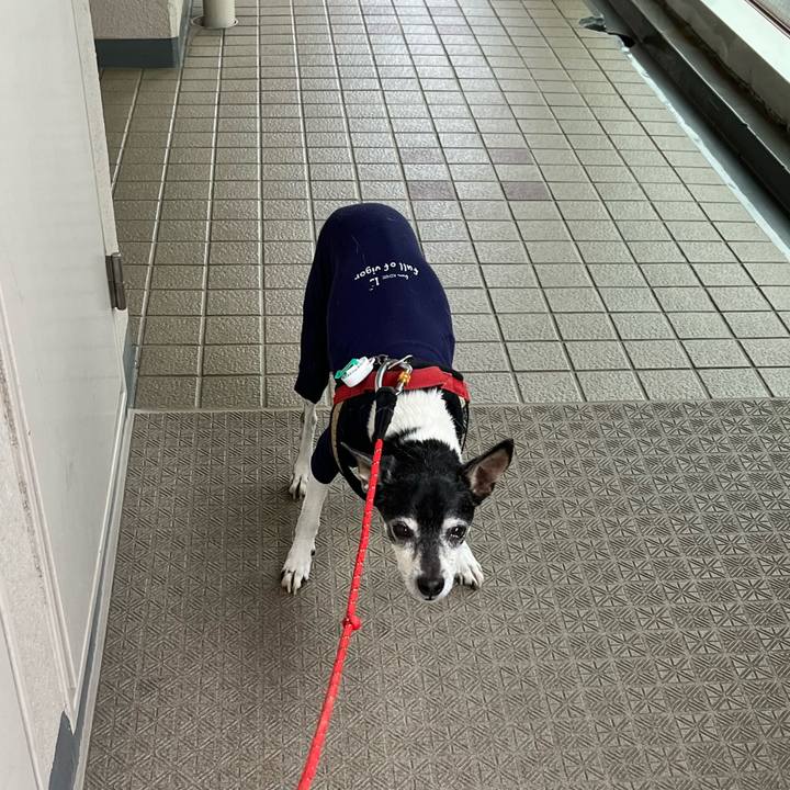 4ed52573 7d03 4c5d b848 8884bd92b12c 1652046700497