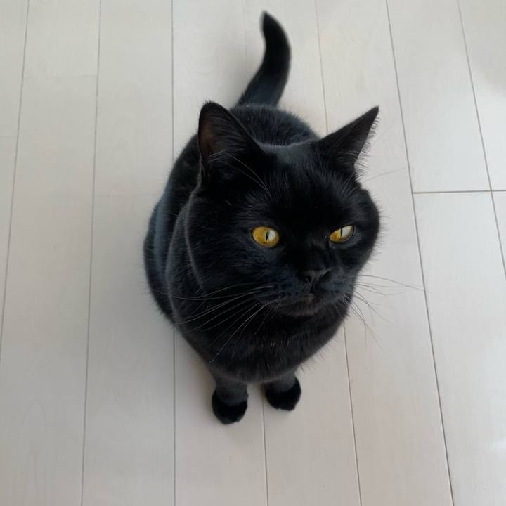 4ed5d166 2862 449e 8ebd e506869e95e3 1610949005604