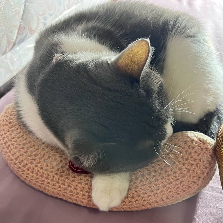 4ed612fa 1a2b 4d10 bd52 bfb75c85abfe 1765194252960