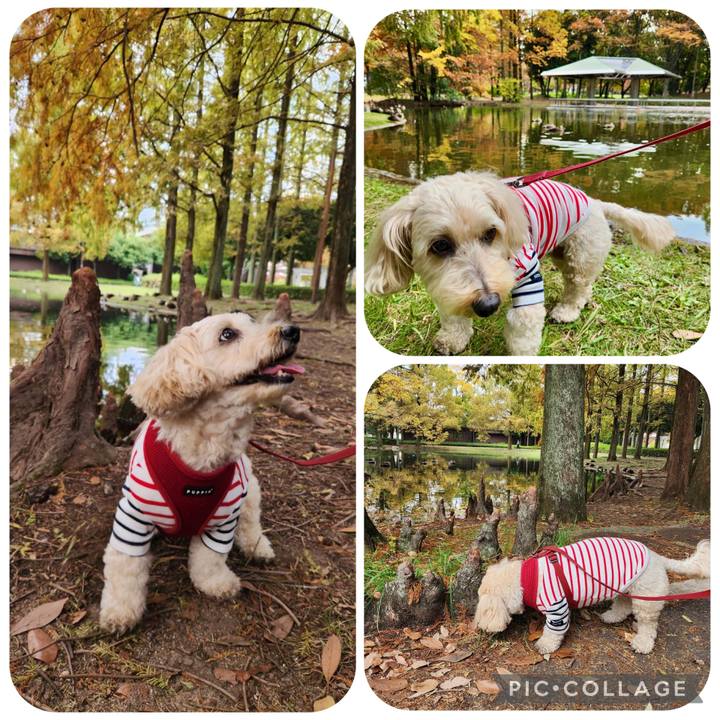 4ed61fcc 0179 41e7 852c d00297c8b063 1763353782027