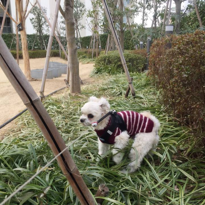 4ed624ee 2d6b 4c3e b7bb c9c87980c201 1519213200204