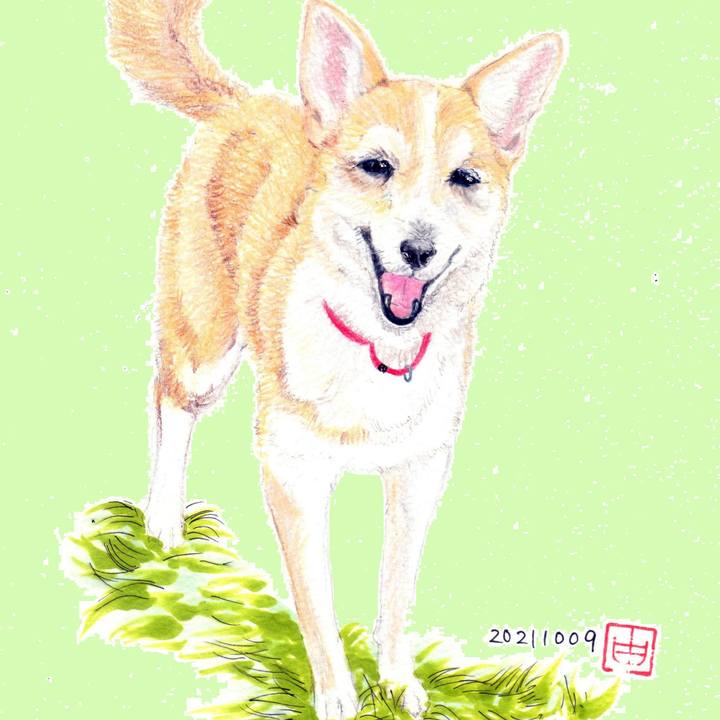 4ed636d1 7830 44f6 a46f 6b51facf803e 1633783389280