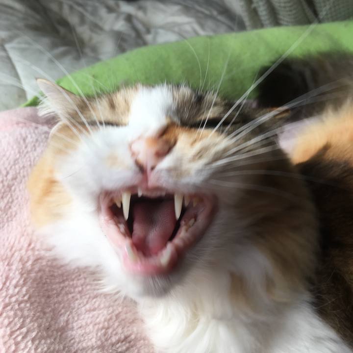 4ed64651 66a3 40b9 8ad6 abd9da9a867c 1553580710411