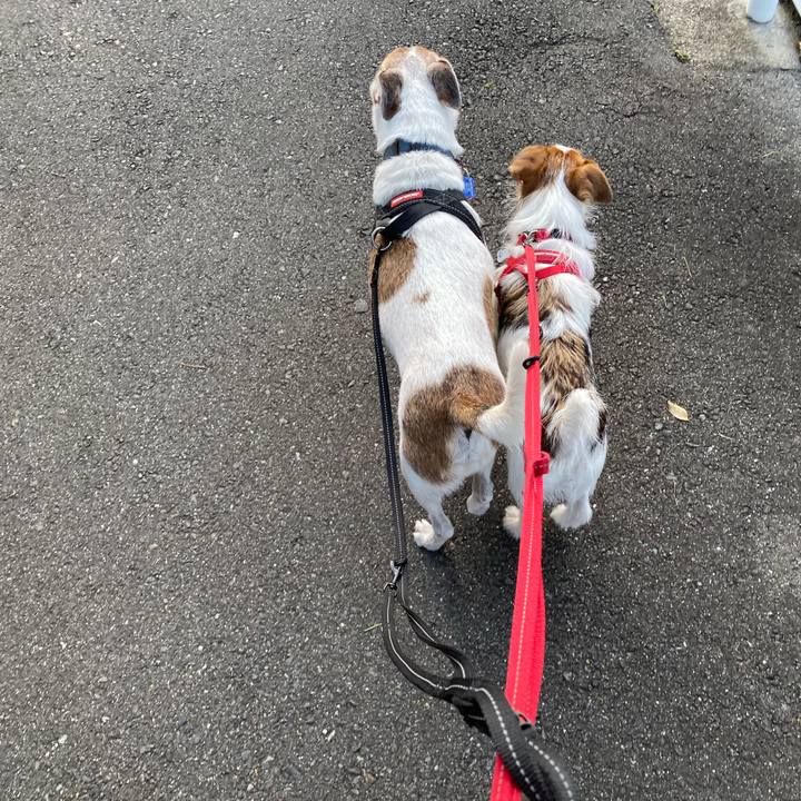 4ed65555 c5d1 49d4 a02d 2448cc620e6e 1630361942323