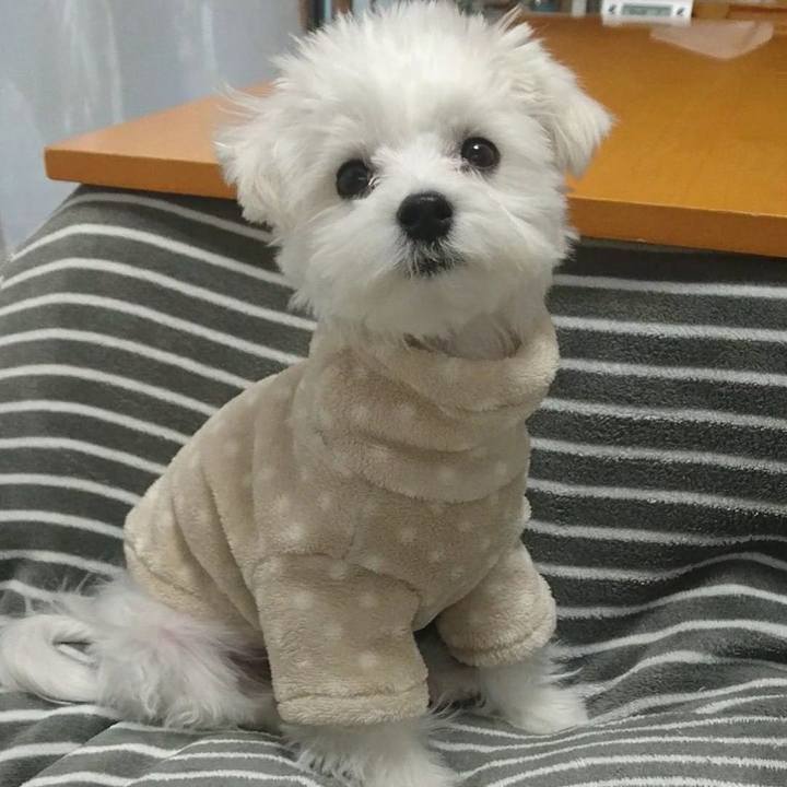 4ed657ea 11d6 40fb b319 ea68431245dc 1511164392974