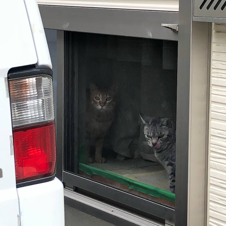 4ed68650 f5f5 444d 9876 2d977fafa28e 1623308960547