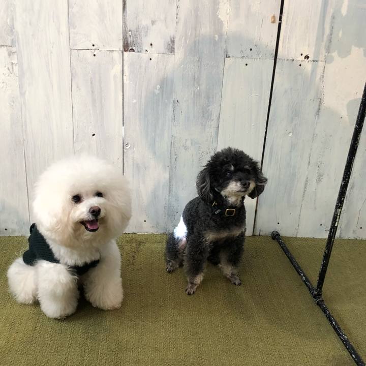 4ed6bcc8 f29f 4831 afb9 3e17cdb9cfb2 1516511835976