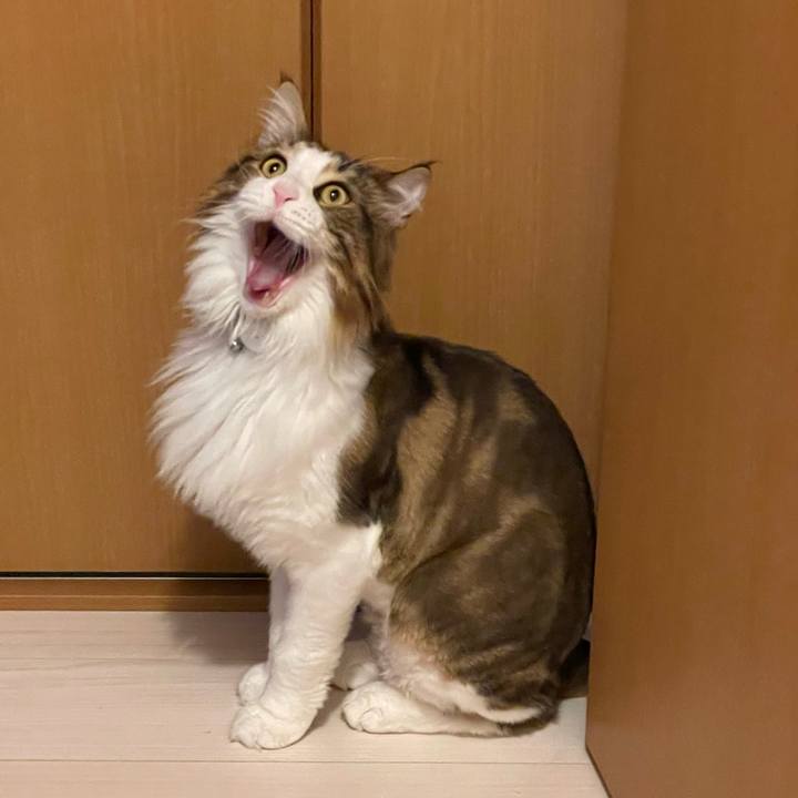 4ed6fcee 9409 4506 a2ae 433e9ba8a76c 1660827438967