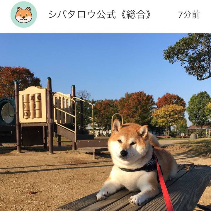 4ed724dc 7276 42cf 96fb 061b000fb1e4 1638263595141