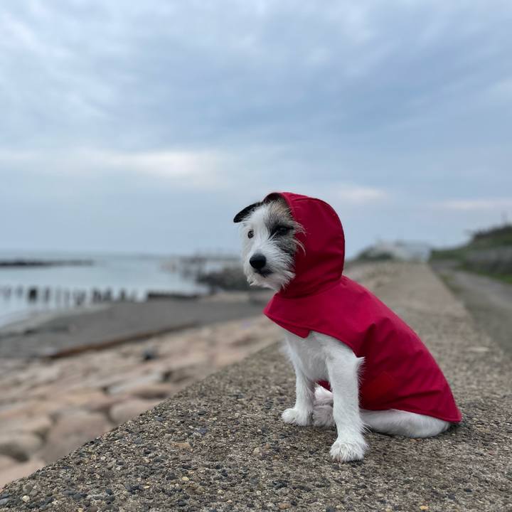 4ed747e4 1183 476d bc5d 50f7244f7fb1 1653178386607