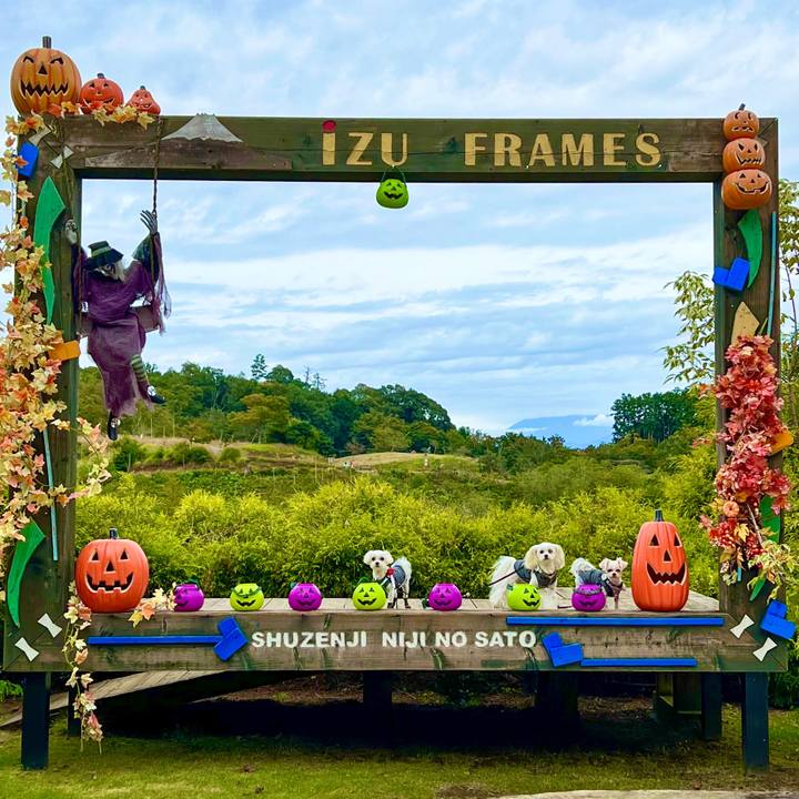 4ed7639f 4280 4972 9810 e59a47d97fad 1665302268007