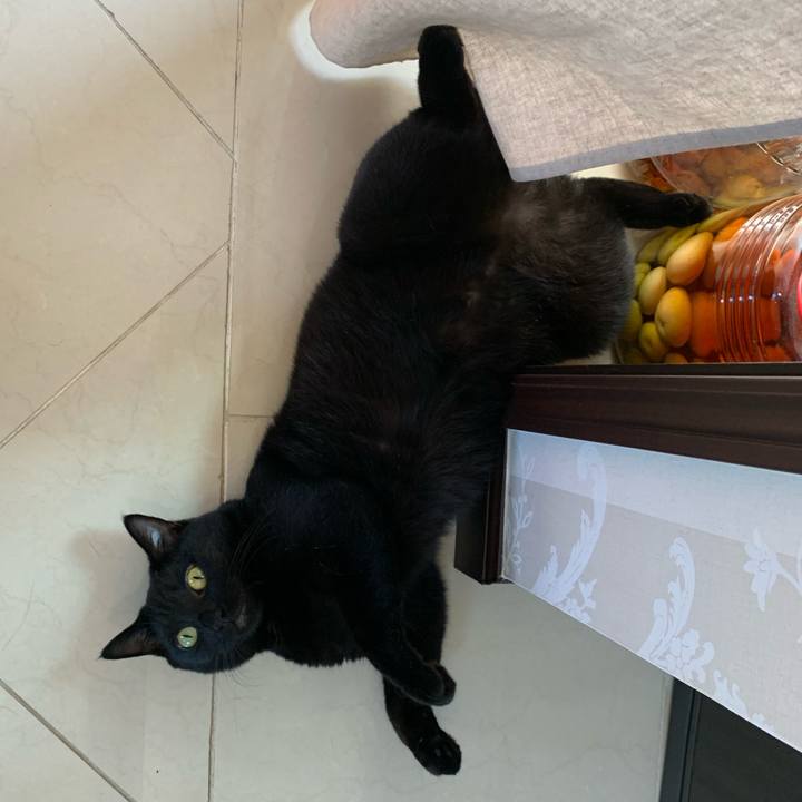 4ed778d4 6089 40aa 903e c729a856cbd8 1597366727468