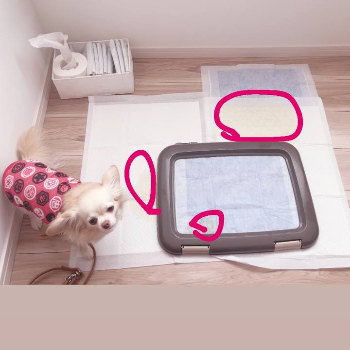 4ed77b31 e87e 4337 8611 881a082e7b1f 1742892598199