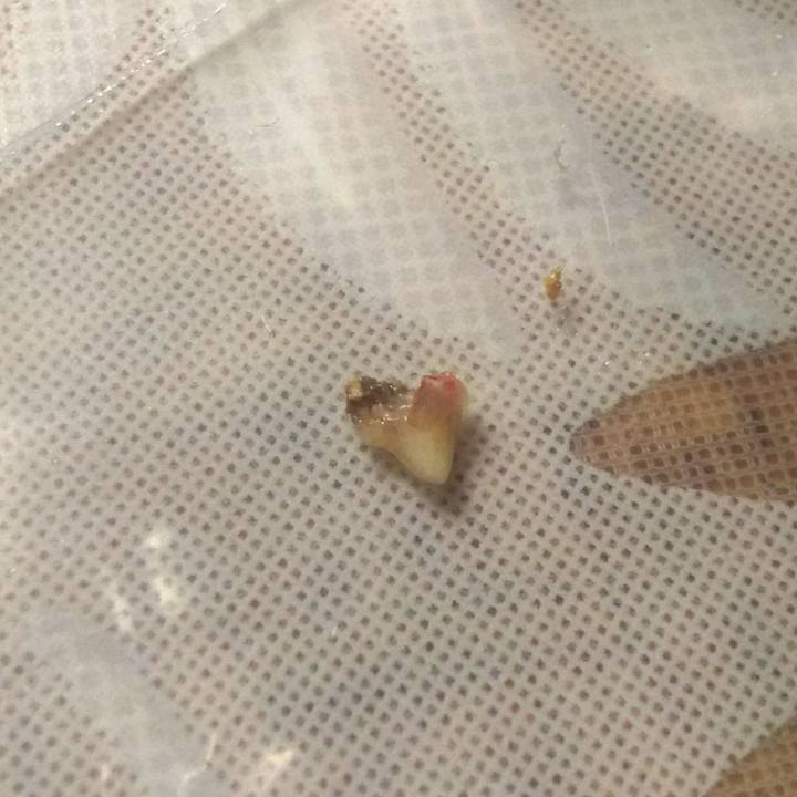 4ed7828d 4bc3 4ed1 bbbd 77d22f95938d 1560397065051