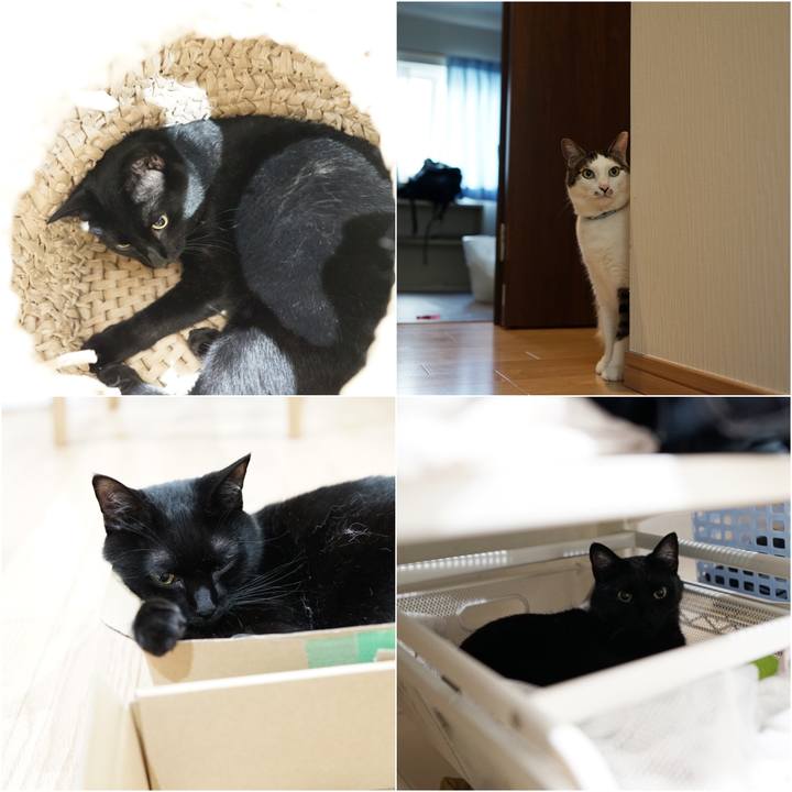 4ed79c84 09ed 4534 b185 ea39f25ce1dc 1559691499041